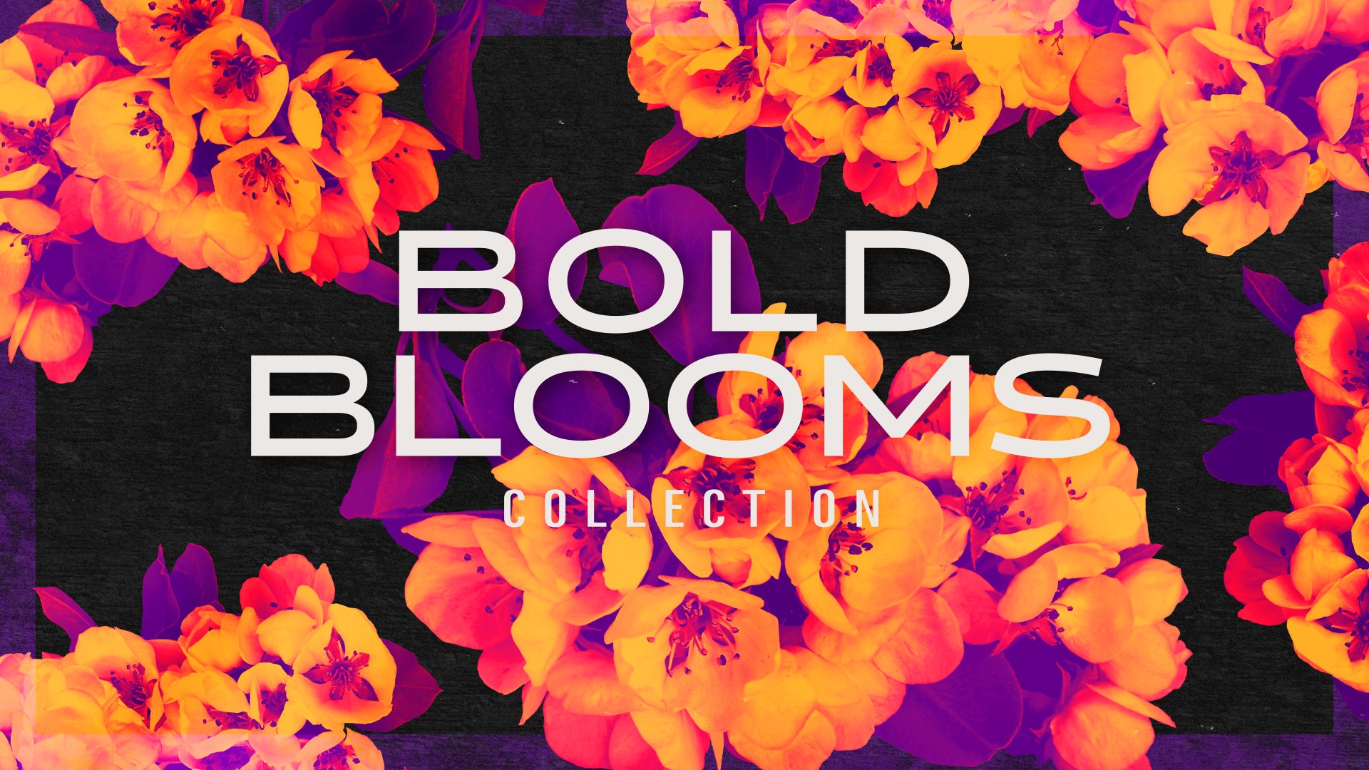 Bold Blooms : Collection