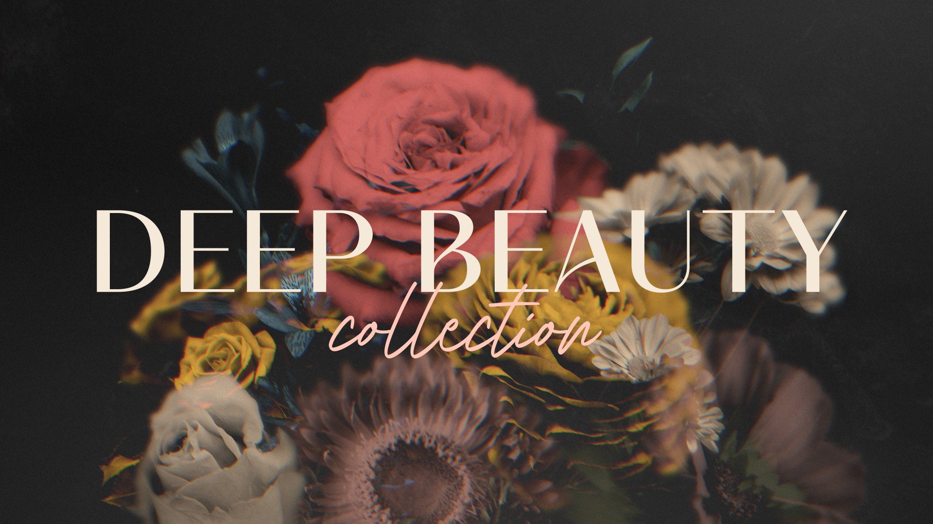 Deep Beauty : Collection