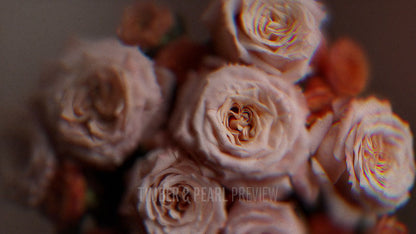 Vintage Rose : Collection