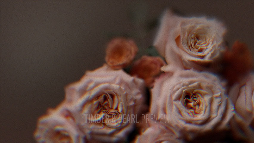 Vintage Rose : Stills