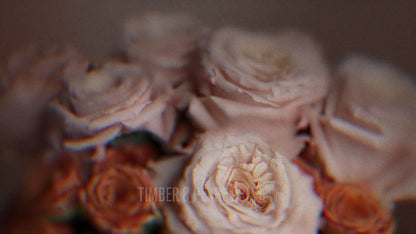 Vintage Rose : Collection