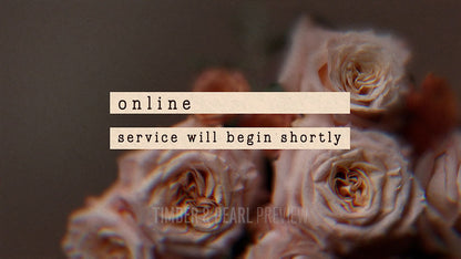 Vintage Rose : Collection
