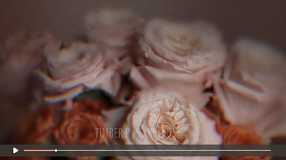 Vintage Rose : Collection