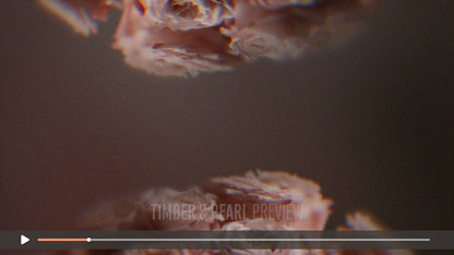 Vintage Rose : Collection